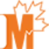custom_website